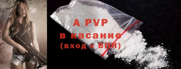 PSILOCYBIN Нея