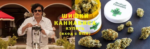 крисы Надым