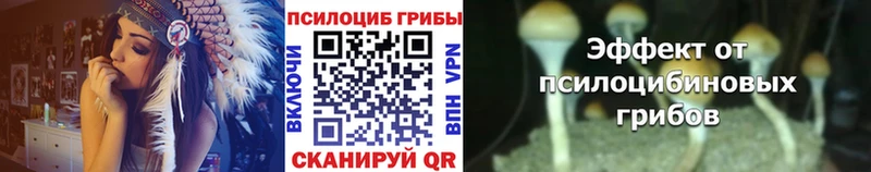 Псилоцибиновые грибы прущие грибы  мега маркетплейс  Ладушкин 